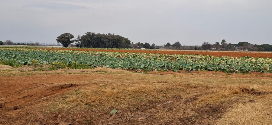Commercial Property for Sale in Bainsvlei Free State